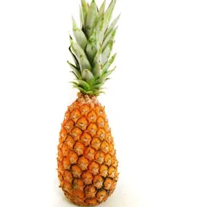 Ananas della varietà Pain de sucre, allungato e con il ciuffo verde, su fondo bianco