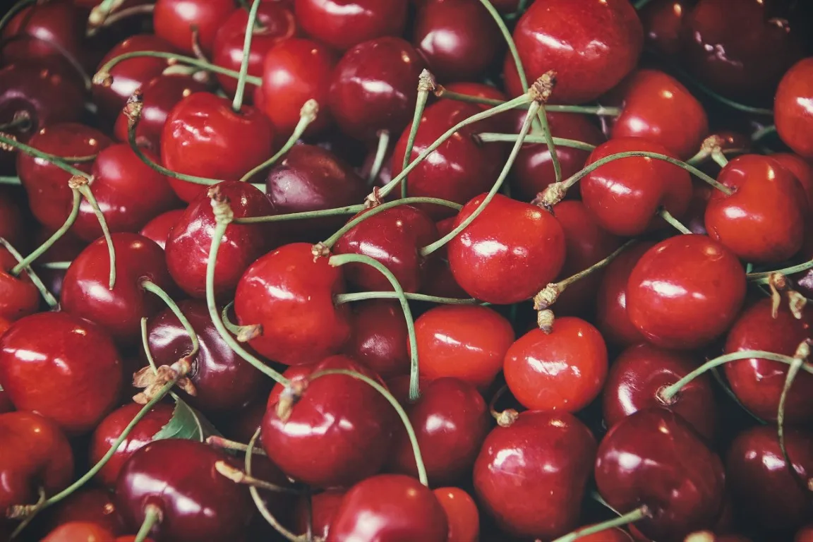 Ciliegie: scelta, conservazione e utilizzo nei cocktail