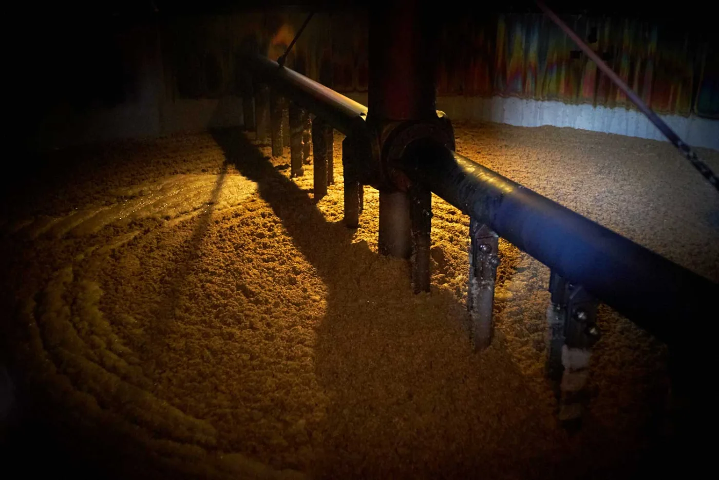 L'interno del mash tun: il braccio meccanico rotante sopra il letto di grist e acqua