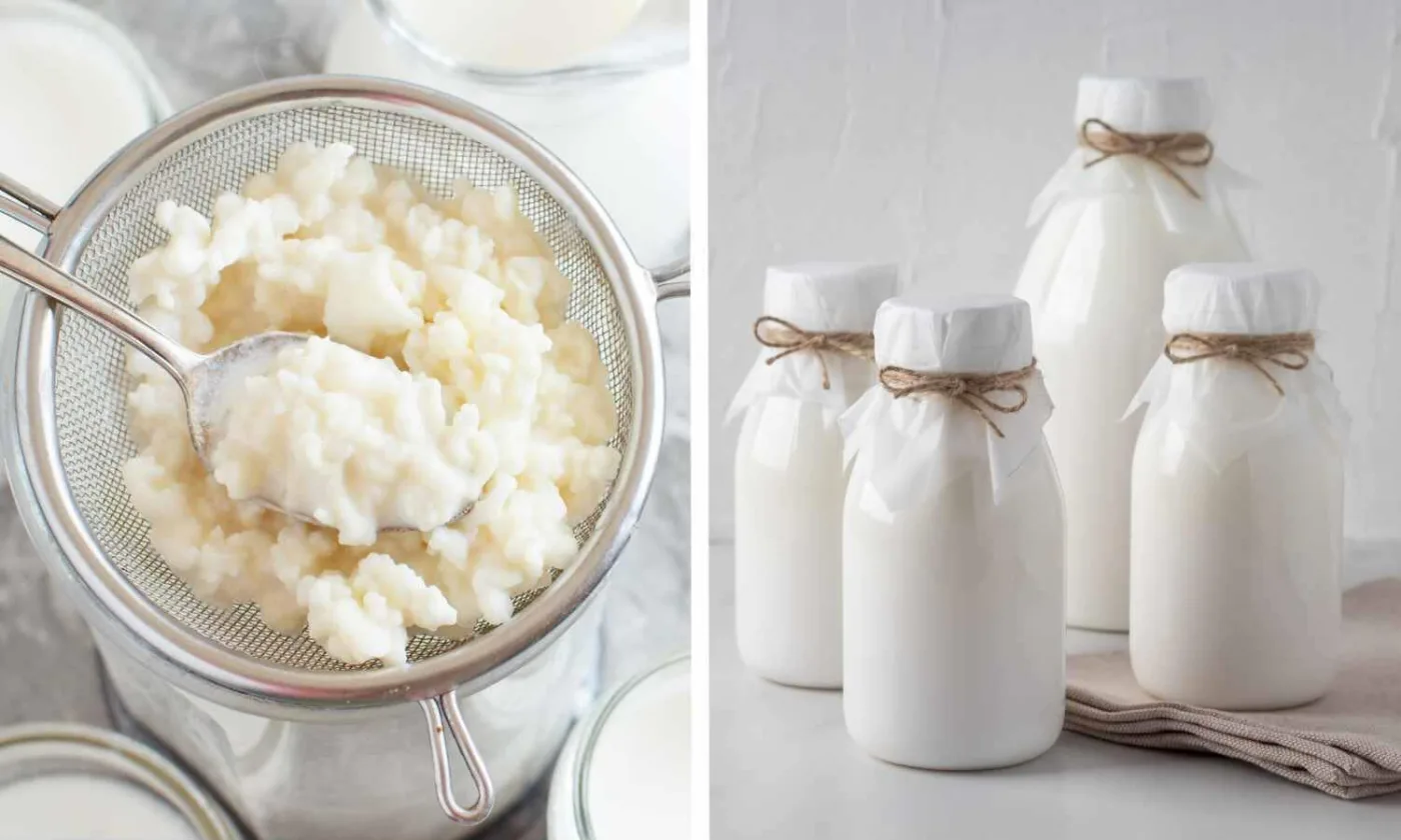 Grani di kefir in un colino e bottigliette di yogurt
