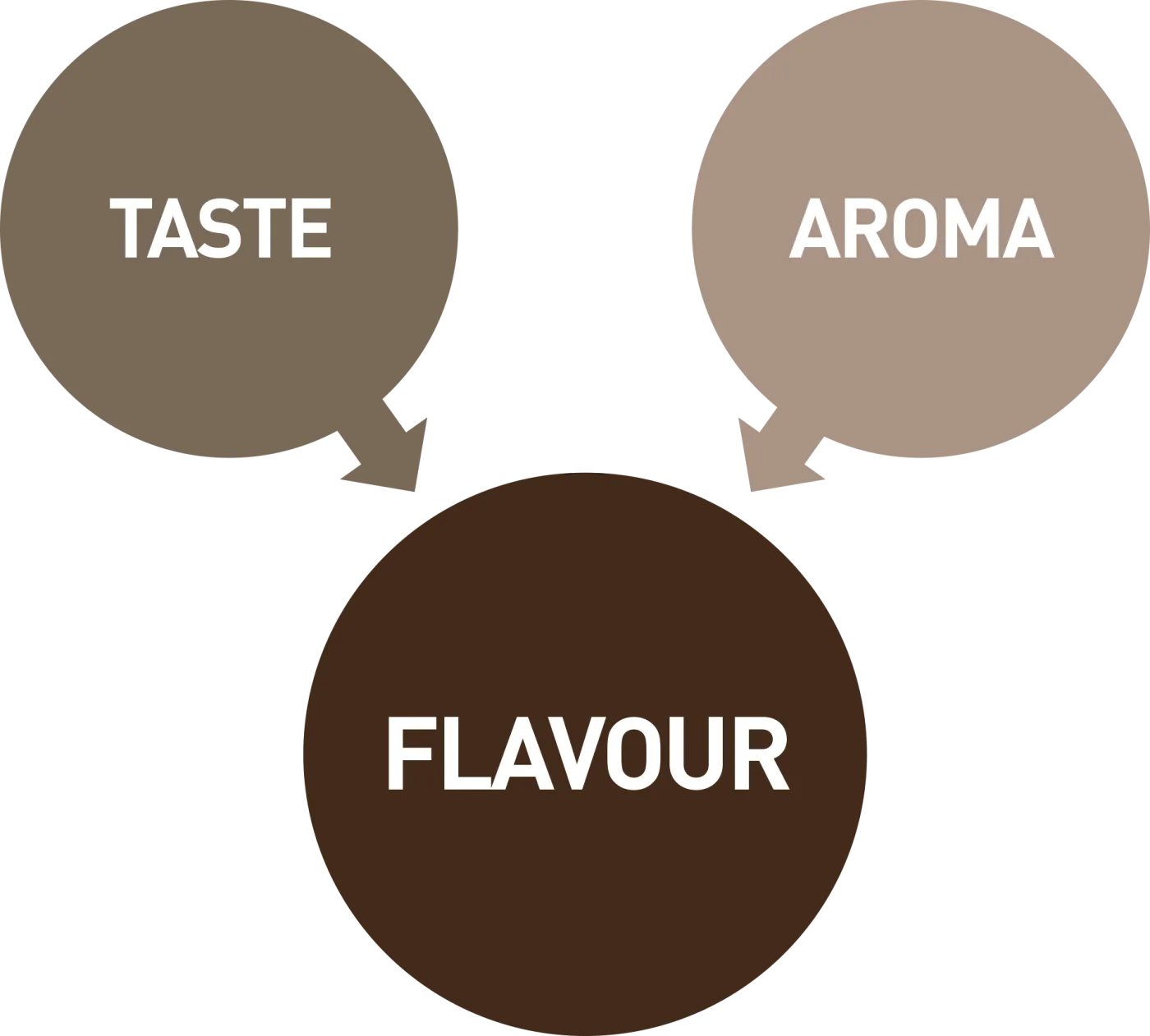 Schema delle tre componenti del sapore: gusto, aroma e sensazioni trigeminali