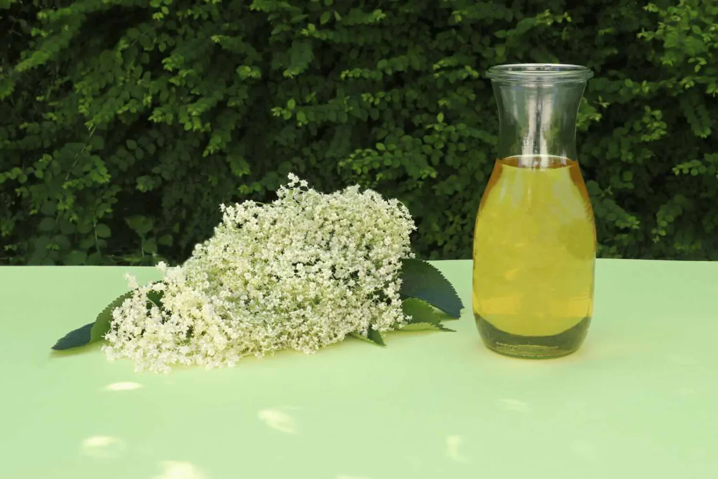 Sciroppo ai fiori di sambuco per hugo spritz