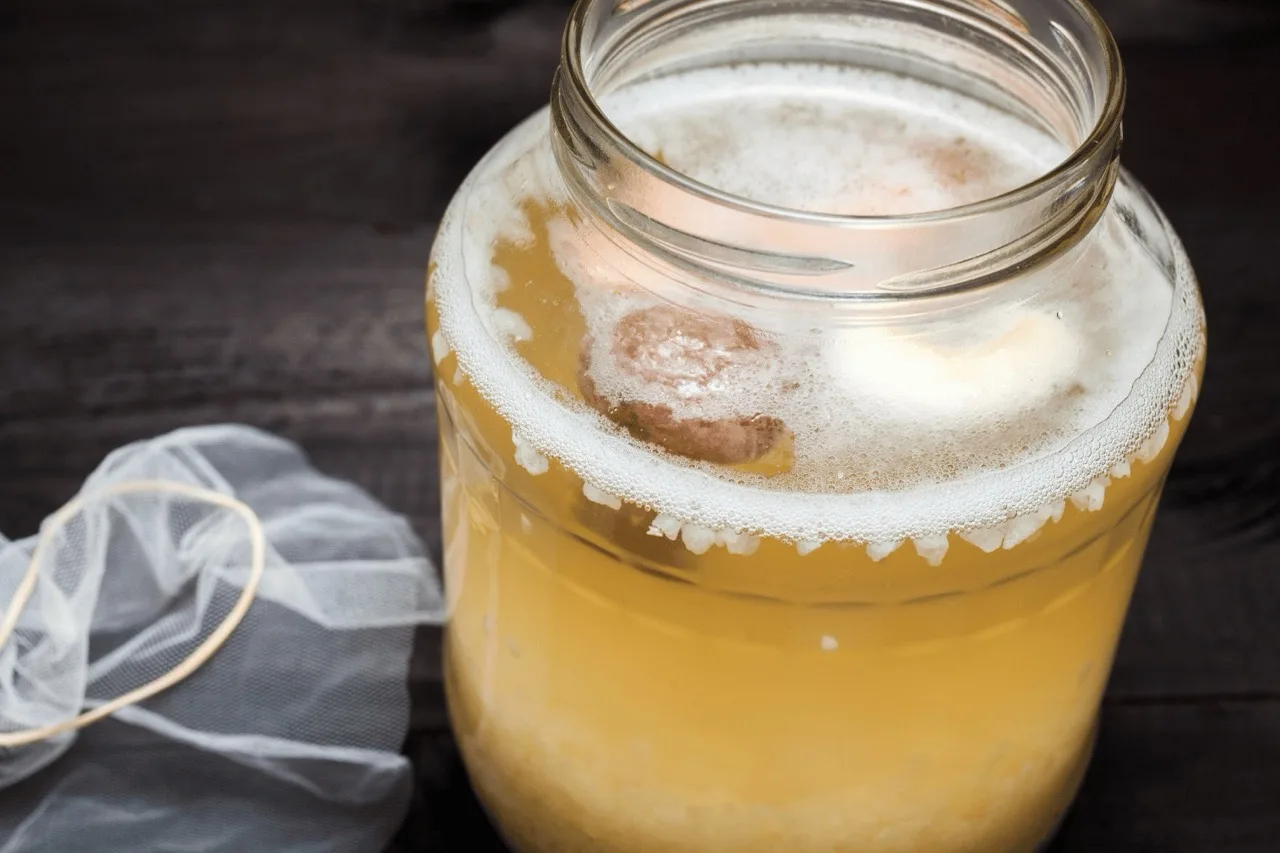 Kefir d’acqua (Tibicos): ricetta, fermentazione e usi al bar
