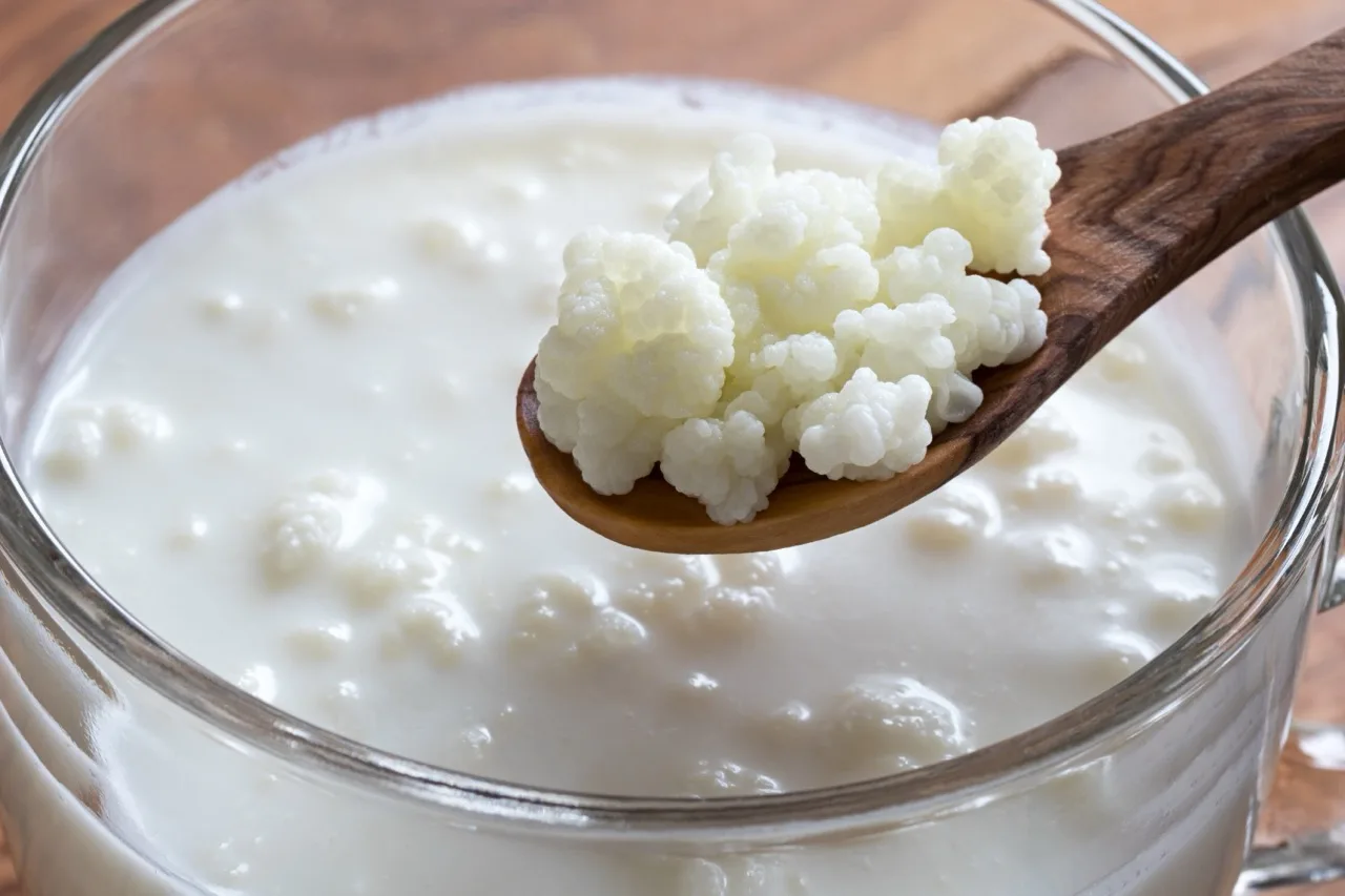 Grani di kefir immersi nel latte in un barattolo di vetro