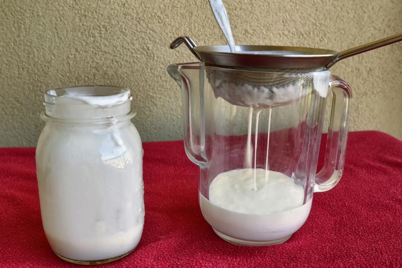 Filtrazione del kefir di latte con un colino per separare i grani dal liquido
