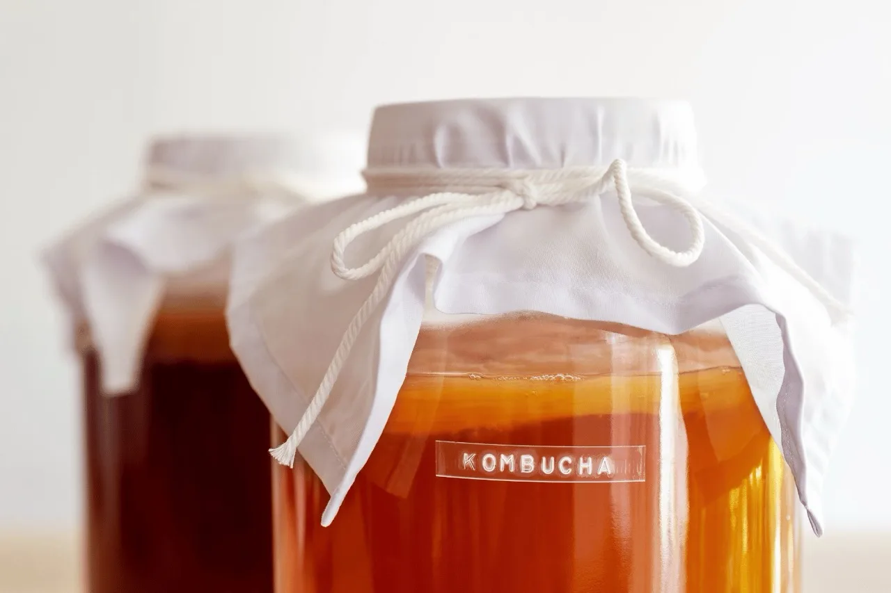 Kombucha: ricetta e preparazione del tè fermentato