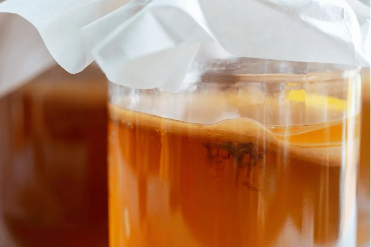 Filamenti scuri dello SCOBY sospesi nel kombucha durante la fermentazione: formazioni normali, da non confondere con le muffe