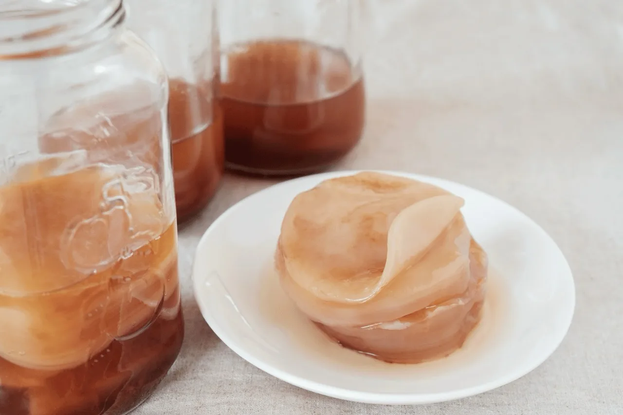 Primo piano di uno SCOBY di kombucha su un piattino bianco, con barattoli di kombucha sullo sfondo