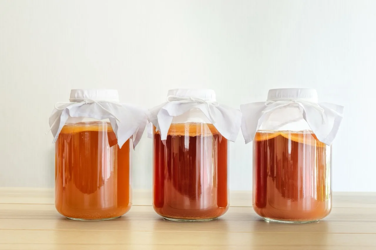 Barattoli di kombucha in fermentazione, con lo SCOBY visibile in superficie