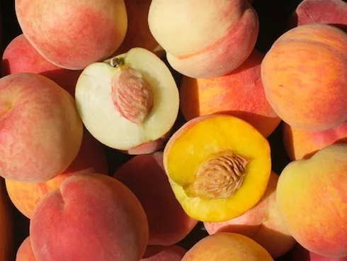 Pesche intere e due pesche tagliate a metà: una a polpa bianca e una a polpa gialla, entrambe con il nocciolo