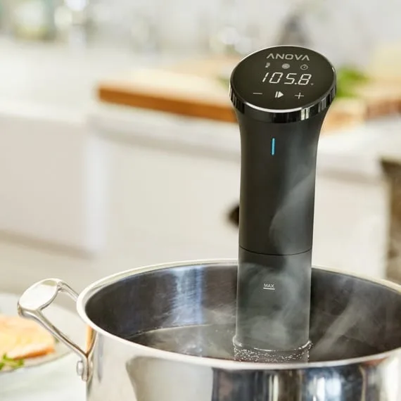 Roner Anova per cottura sous-vide